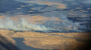 Первые лесные пожары на 17 гектаров ликвидировали в Челябинской области