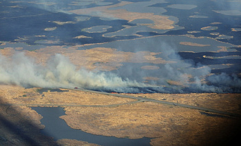 Первые лесные пожары на 17 гектаров ликвидировали в Челябинской области