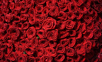 Мошенник похитил 51 розу из цветочного магазина в Челябинской области