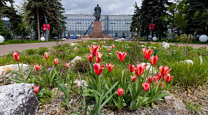 До -3 градусов похолодает в Челябинской области в начале следующей недели